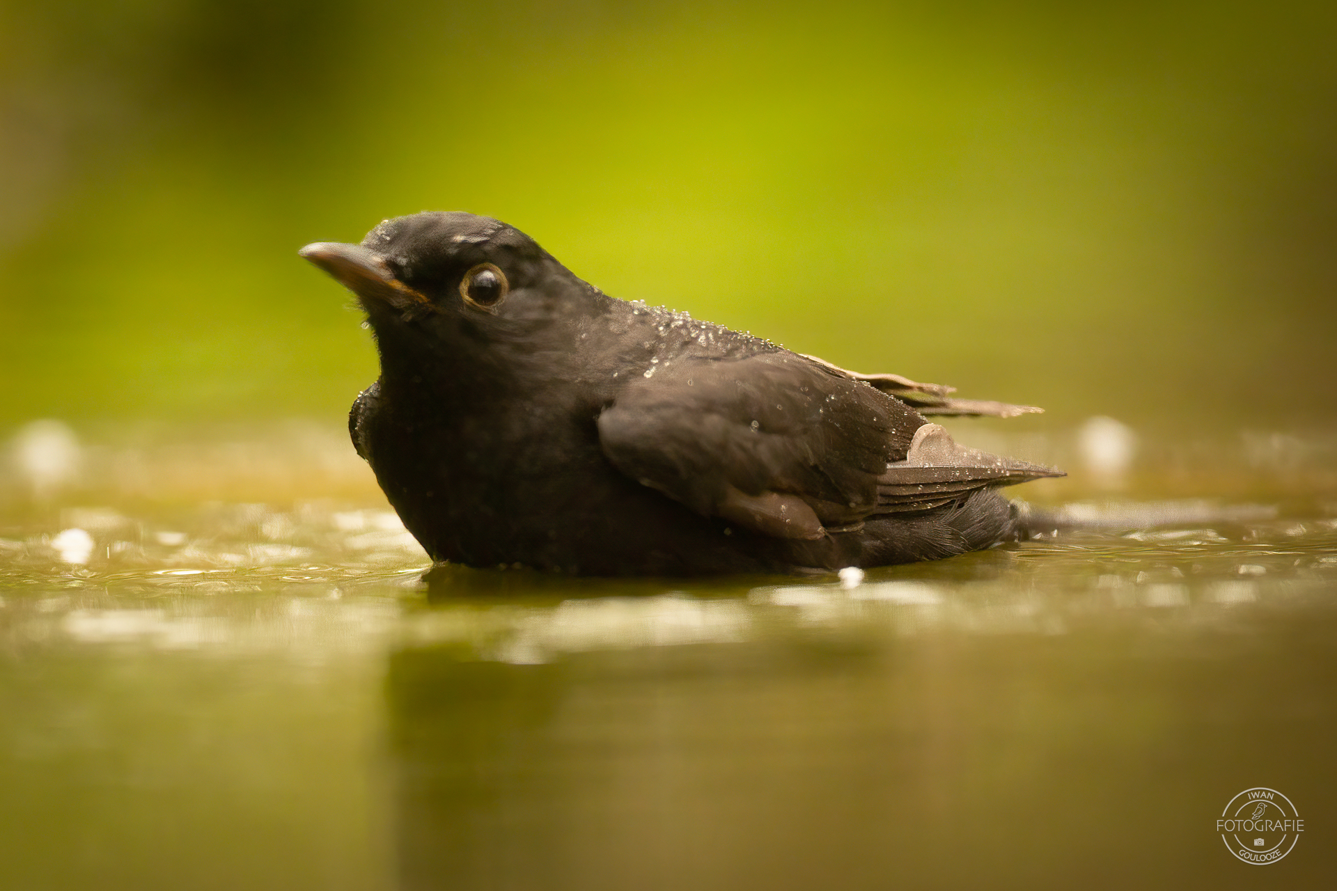 23 oktober 2022 123917 1R2A0154 bewerkt